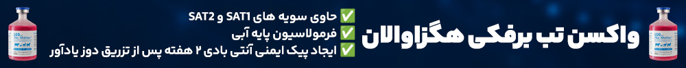ويرا واكسن شايا