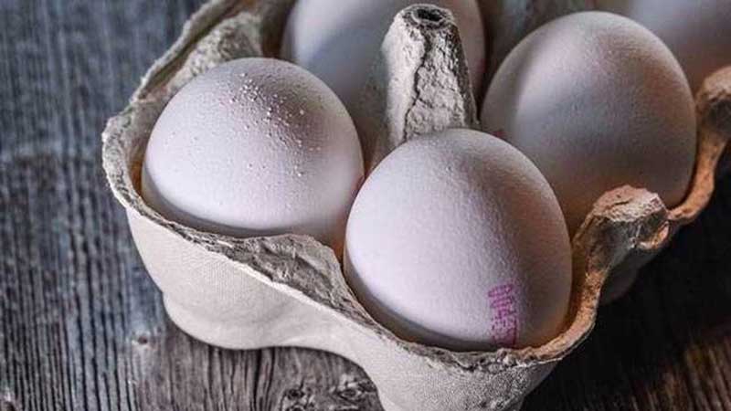  وزیر جهاد: صادرات تخم مرغ ممنوع است