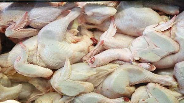 ۴۰ تن قطعه گوشت مرغ غیرمجاز از یک واحد صنفی در مشهد کشف شد